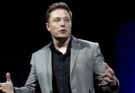Indian Talent Shaping America, Says Elon Musk on H-1B