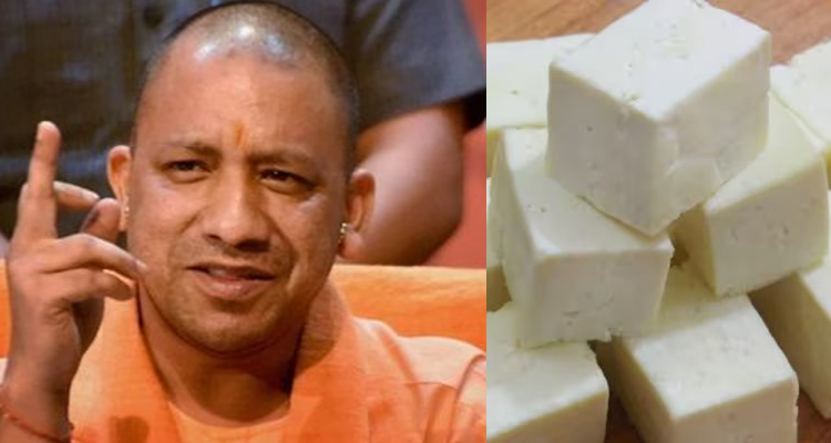 UP Govt Bans Analogue Paneer, Ghee, Khoya: What Is Analogue Dairy?