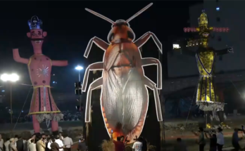 Why Was a Cockroach Effigy Burned Alongside Ravan in Delhi on Dussehra?