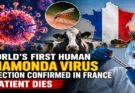 World’s First Human Shamonda Virus Infection Confirmed in France, Patient Dies